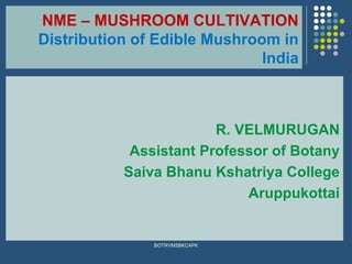 NME – MUSHROOM CULTIVATION
Distribution of Edible Mushroom in
India
R. VELMURUGAN
Assistant Professor of Botany
Saiva Bhanu Kshatriya College
Aruppukottai
BOTRVMSBKCAPK
 
