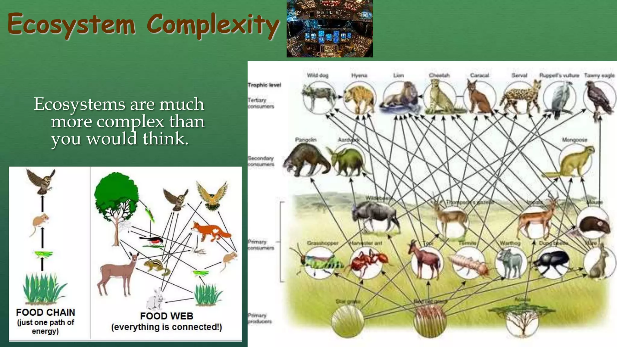Ecosystem Complexity
Ecosystems are much
more complex than
you would think.
 