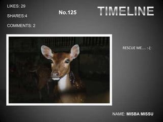 LIKES: 29
              No.125
SHARES:4

COMMENTS: 2




                           RESCUE ME.... :-(:




                       NAME: MISBA MISSU
 