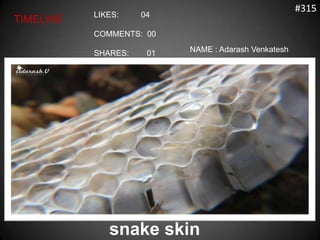 #315
           LIKES:    04
TIMELINE
           COMMENTS: 00

           SHARES:    01   NAME : Adarash Venkatesh




              snake skin
 