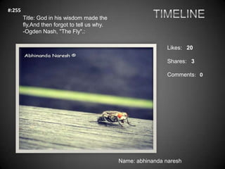 #:255
        Title: God in his wisdom made the
        fly,And then forgot to tell us why.
        -Ogden Nash, "The Fly"...