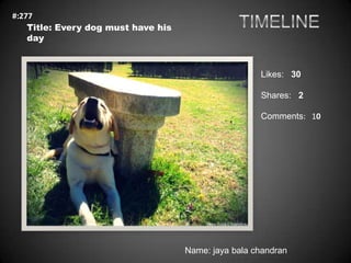 #:277
    Title: Every dog must have his
    day



                                                      Likes: 30

     ...
