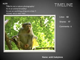 #:279
    Title:Its not a nature photography!
    Its nt an animal brutality!
    Its just an earthling,siting on a tree !...