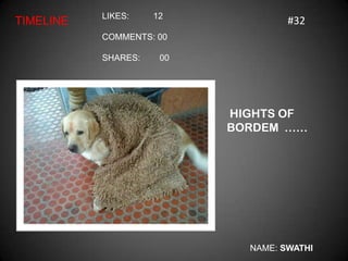 LIKES:    12
TIMELINE                            #32
           COMMENTS: 00

           SHARES:    00




                           HIGHTS OF
                           BORDEM ……




                             NAME: SWATHI
 