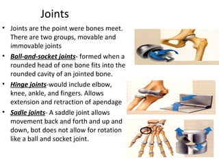 gliding movements occur when one flat, or nearly flat, bone surface glides or slips over another.
