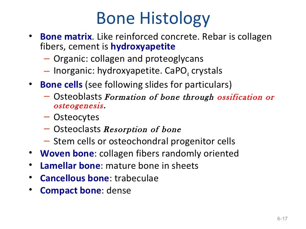 1.3 human movement system