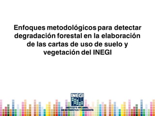 Enfoques metodológicos para detectar
degradación forestal en la elaboración
de las cartas de uso de suelo y
vegetación del INEGI
 