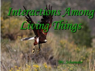 Interactions AmongInteractions Among
Living ThingsLiving Things
Mr. SchumaierMr. Schumaier
 