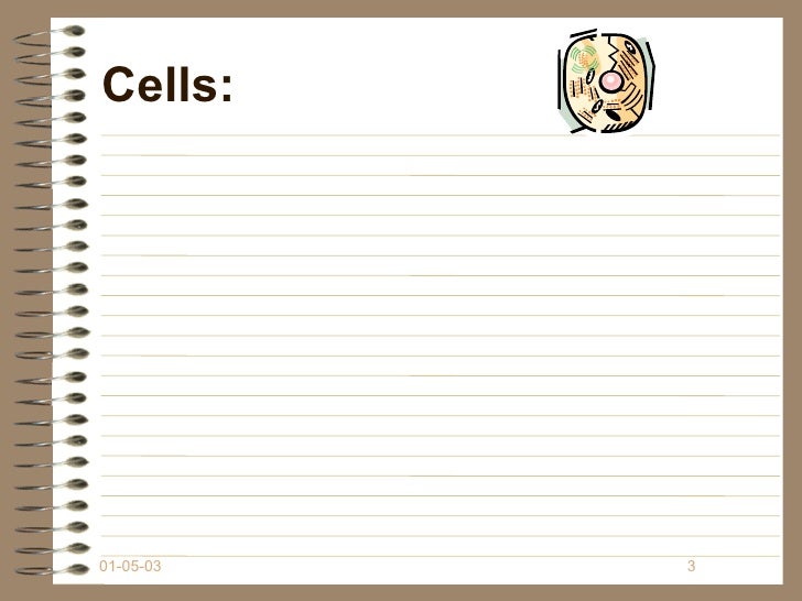 1 3 organization of life keynote