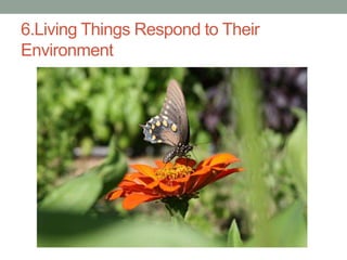 6.Living Things Respond to Their 
Environment 
 