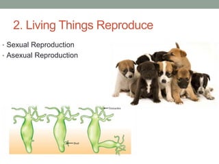 2. Living Things Reproduce 
• Sexual Reproduction 
• Asexual Reproduction 
 