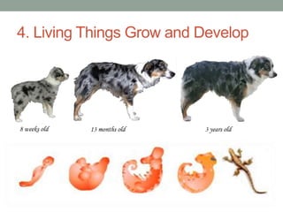 4. Living Things Grow and Develop 
 