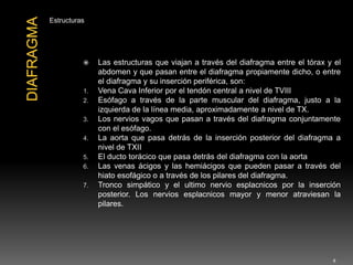 Estructuras
 Las estructuras que viajan a través del diafragma entre el tórax y el
abdomen y que pasan entre el diafragma propiamente dicho, o entre
el diafragma y su inserción periférica, son:
1. Vena Cava Inferior por el tendón central a nivel de TVIII
2. Esófago a través de la parte muscular del diafragma, justo a la
izquierda de la línea media, aproximadamente a nivel de TX.
3. Los nervios vagos que pasan a través del diafragma conjuntamente
con el esófago.
4. La aorta que pasa detrás de la inserción posterior del diafragma a
nivel de TXII
5. El ducto torácico que pasa detrás del diafragma con la aorta
6. Las venas ácigos y las hemiácigos que pueden pasar a través del
hiato esofágico o a través de los pilares del diafragma.
7. Tronco simpático y el ultimo nervio esplacnicos por la inserción
posterior. Los nervios esplacnicos mayor y menor atraviesan la
pilares.
8
 