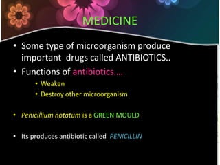 MEDICINESome type of microorganism produce important  drugs called ANTIBIOTICS..Functions of antibiotics….Weaken Destroy other microorganismPenicilliumnotatumis a GREEN MOULDIts produces antibiotic calledPENICILLIN