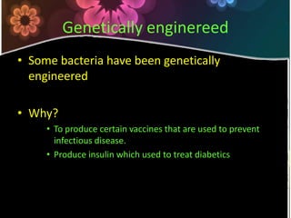 Genetically enginereedSome bacteria have been genetically engineeredWhy?To produce certain vaccines that are used to prevent infectious disease.Produce insulin which used to treat diabetics