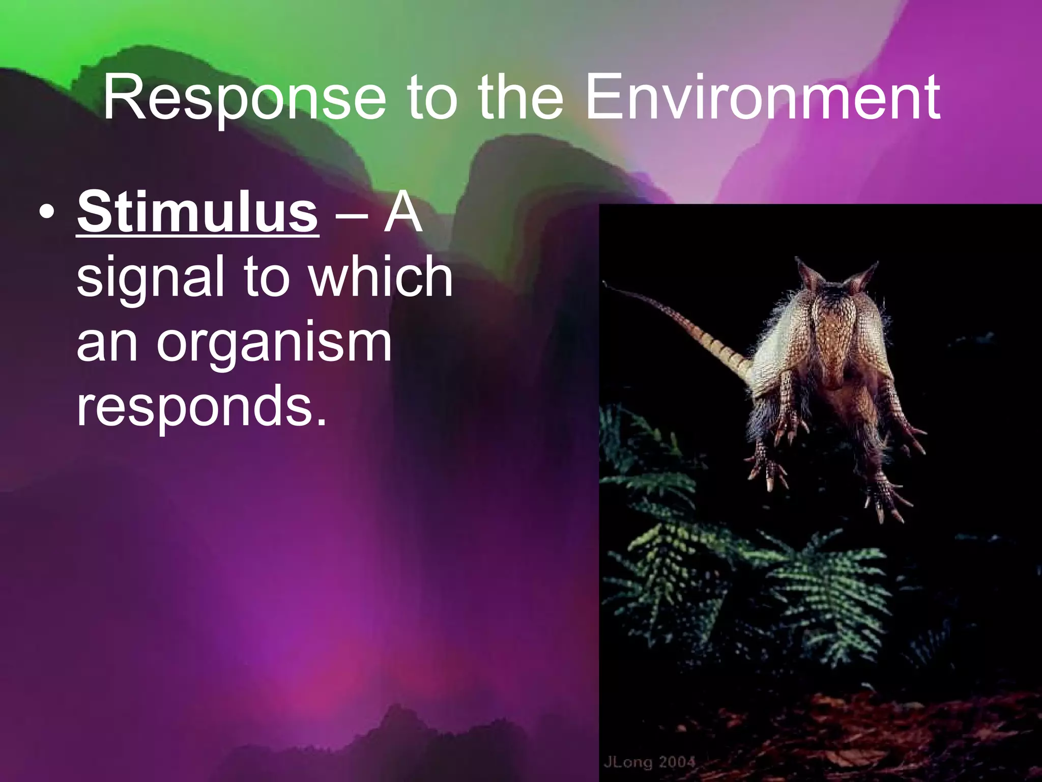 Response to the Environment Stimulus  – A signal to which an organism responds. 