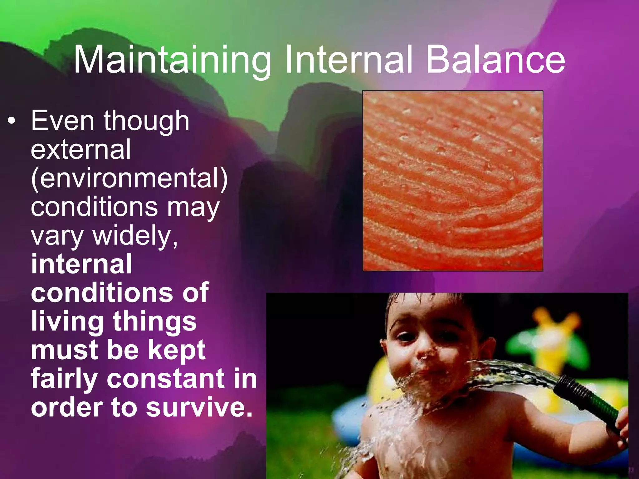 Maintaining Internal Balance Even though external (environmental) conditions may vary widely,  internal conditions of living things must be kept fairly constant in order to survive. 