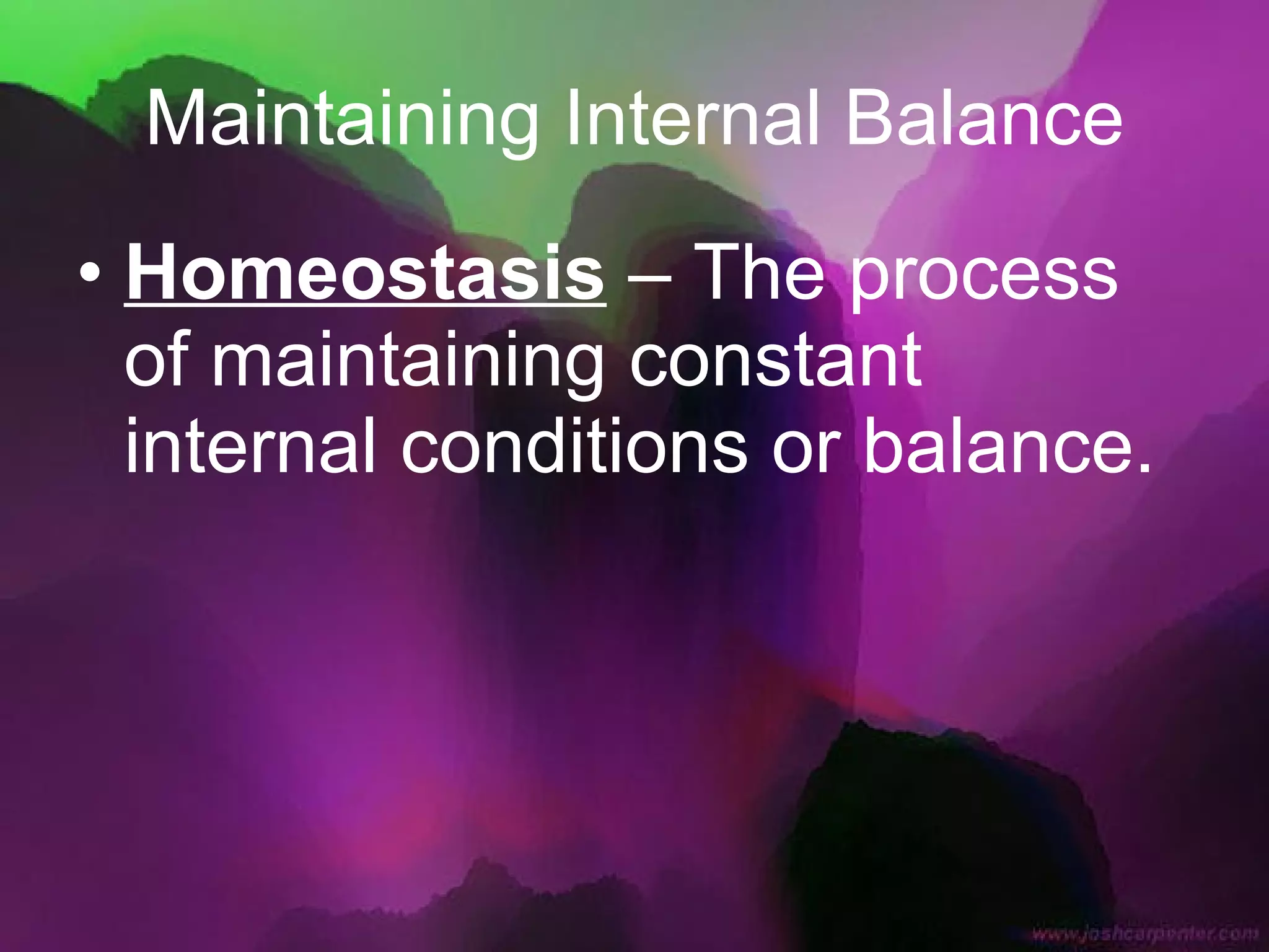 Maintaining Internal Balance Homeostasis  – The process of maintaining constant internal conditions or balance. 