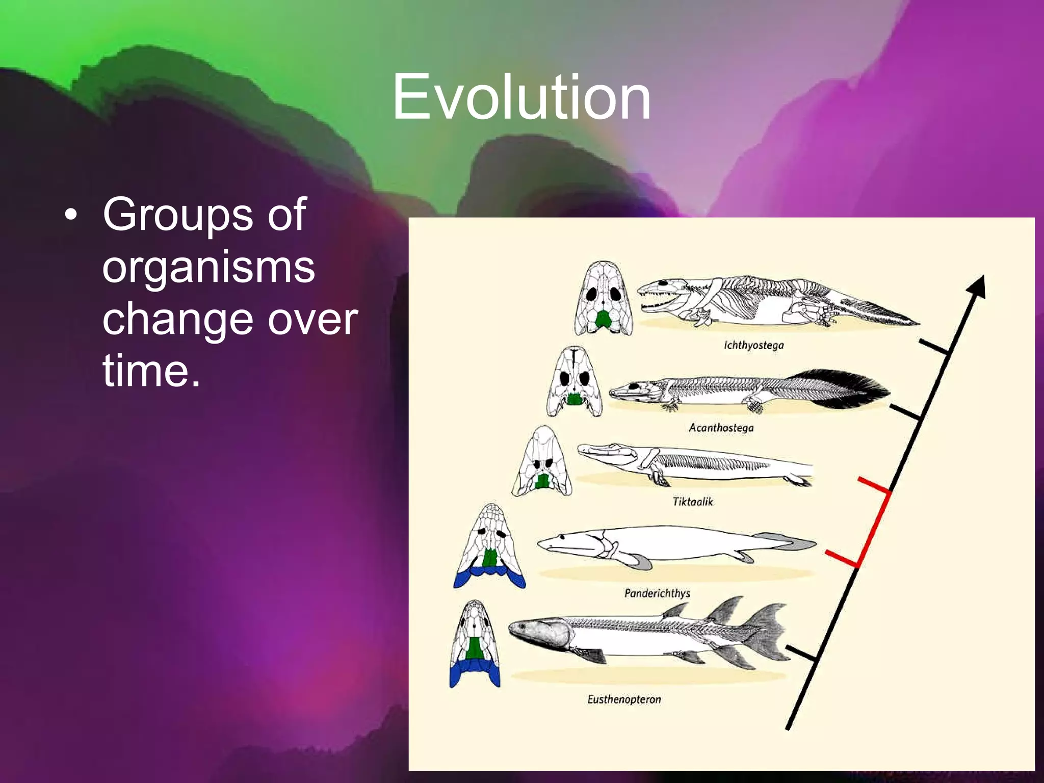 Evolution Groups of organisms change over time. 