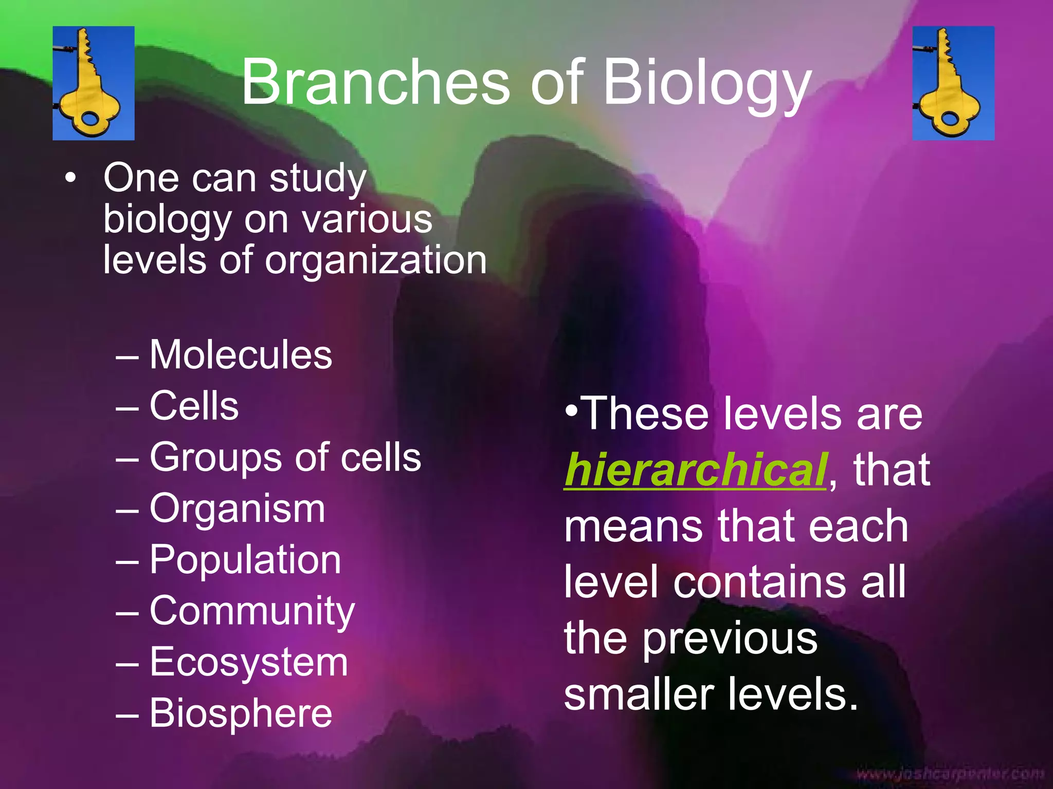 Branches of Biology One can study biology on various levels of organization Molecules Cells Groups of cells Organism Population Community Ecosystem Biosphere These levels are  hierarchical , that means that each level contains all the previous smaller levels. 