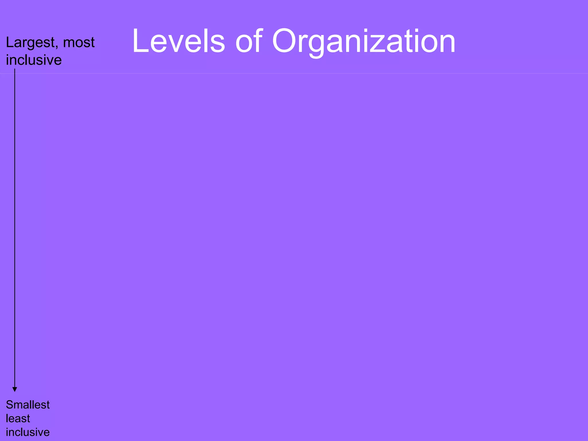Levels of Organization Organism Groups of Cells Cells Molecules Individual living thing Tissues, organs, and organ systems Smallest functional unit of life Groups of atoms; smallest unit of  most chemical compounds Bison Nervous   tissue Nervous   system Brain Nerve cell Water DNA Largest, most inclusive Smallest least inclusive 