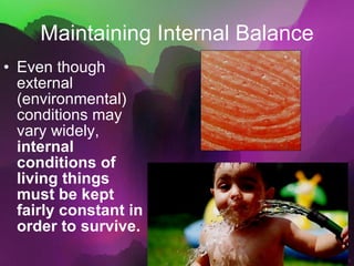 Maintaining Internal Balance Even though external (environmental) conditions may vary widely,  internal conditions of living things must be kept fairly constant in order to survive. 