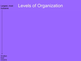 Levels of Organization Organism Groups of Cells Cells Molecules Individual living thing Tissues, organs, and organ systems Smallest functional unit of life Groups of atoms; smallest unit of  most chemical compounds Bison Nervous   tissue Nervous   system Brain Nerve cell Water DNA Largest, most inclusive Smallest least inclusive 