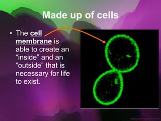 Made up of cells The  cell membrane  is able to create an “inside” and an “outside” that is necessary for life to exist. 