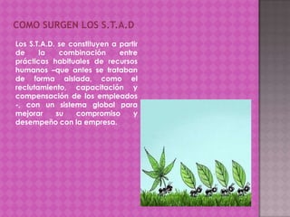 Los S.T.A.D. se constituyen a partir
de la combinación entre
prácticas habituales de recursos
humanos –que antes se trataban
de forma aislada, como el
reclutamiento, capacitación y
compensación de los empleados
-, con un sistema global para
mejorar su compromiso y
desempeño con la empresa.
COMO SURGEN LOS S.T.A.D
 