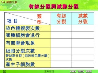 有絲分裂與減數分裂 項 目 類 型 1-4  細胞分裂 產生子細胞數 著絲點分裂 ( 姐妹染色體分離 ) 次數 細胞分裂次數 有無聯會現象 哪種細胞會進行 染色體複製次數 減數 分裂 有絲 分裂 