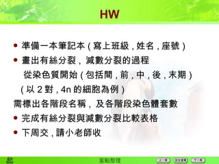 HW 準備一本筆記本 ( 寫上班級 , 姓名 , 座號 ) 畫出有絲分裂 ,  減數分裂的過程 從染色質開始 ( 包括間 , 前 , 中 , 後 , 末期 ) ( 以 2 對 , 4n 的細胞為例 ) 需標出各階段名稱 ,  及各階段染色體套數 完成有絲分裂與減數分裂比較表格 下周交 , 請小老師收 