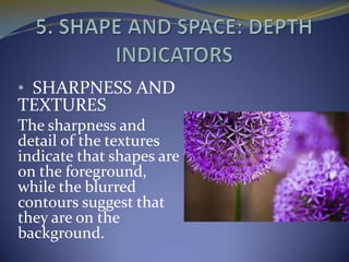 • SHARPNESS AND
TEXTURES
The sharpness and
detail of the textures
indicate that shapes are
on the foreground,
while the blurred
contours suggest that
they are on the
background.
 