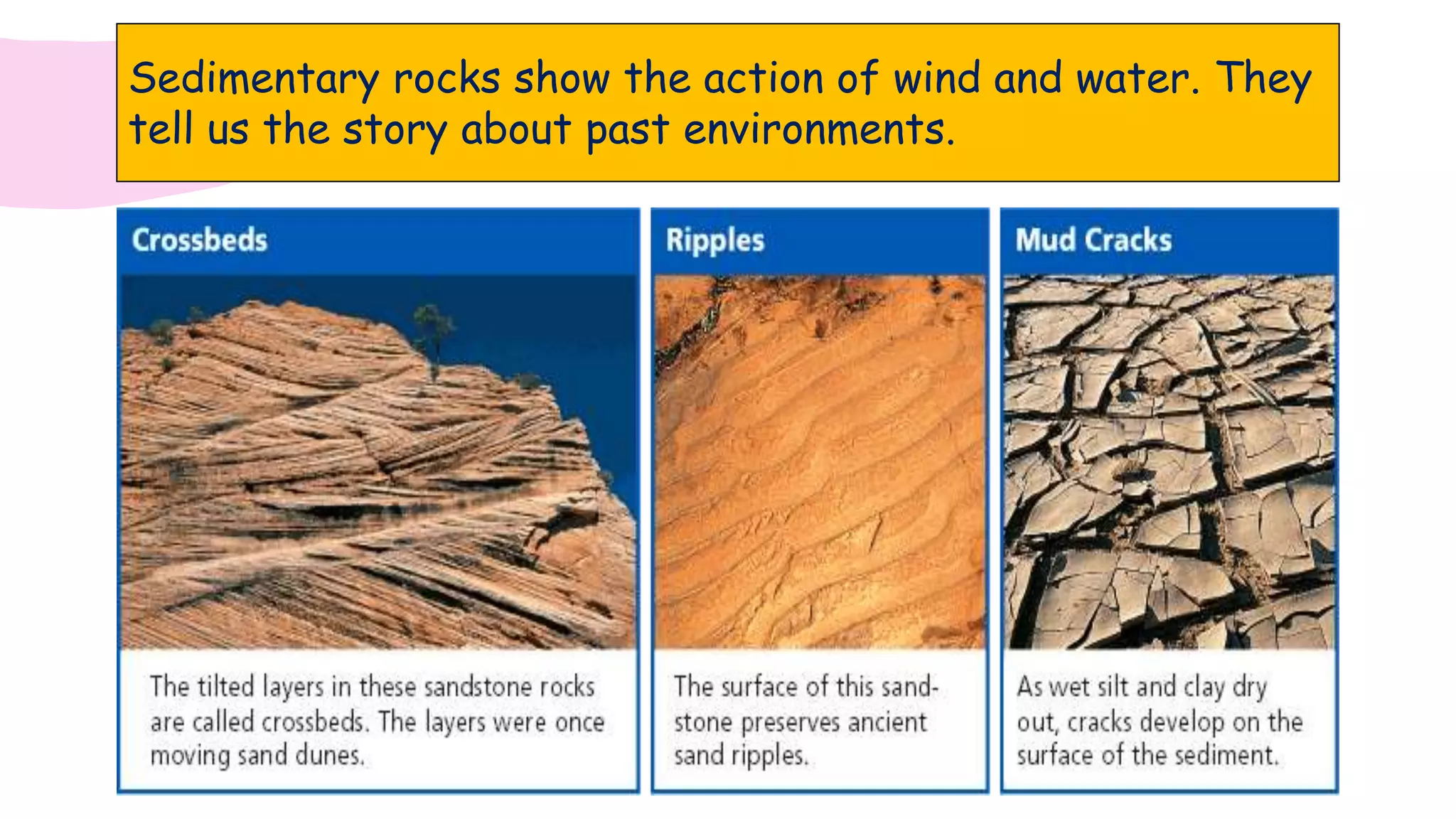 Sedimentary rocks show the action of wind and water. They
tell us the story about past environments.
 