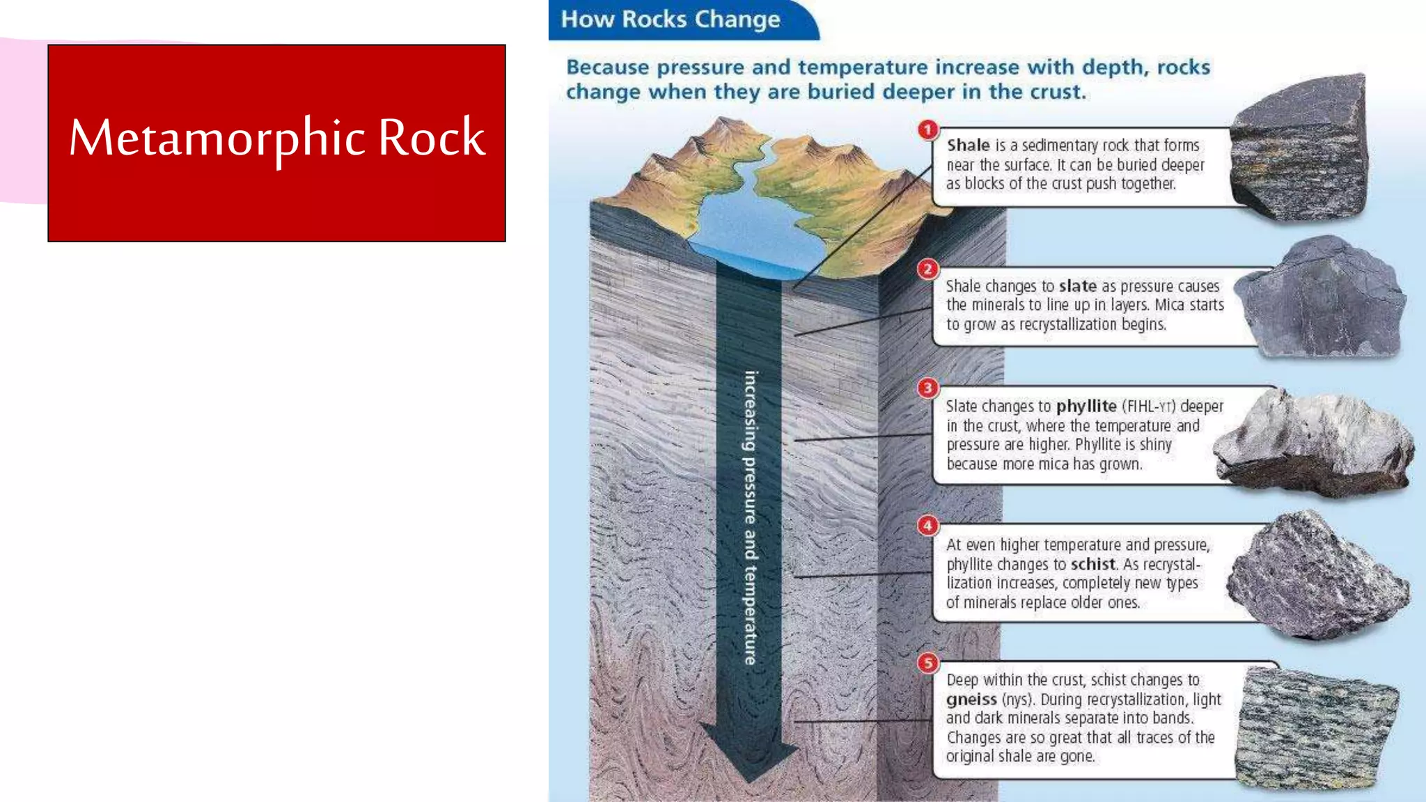 Metamorphic Rock
 