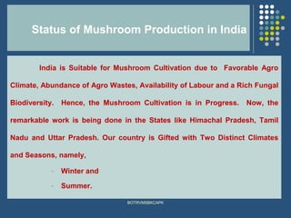 1 4 -status of mushroom cultivation | PPT