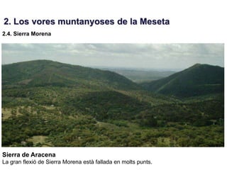 2. Los vores muntanyoses de la Meseta
2.4. Sierra Morena




Sierra de Aracena
La gran flexió de Sierra Morena està fallada en molts punts.
 