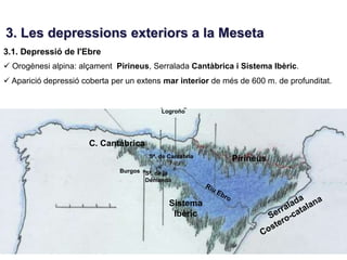 3. Les depressions exteriors a la Meseta
3.1. Depressió de l'Ebre
 Orogènesi alpina: alçament Pirineus, Serralada Cantàbrica i Sistema Ibèric.
 Aparició depressió coberta per un extens mar interior de més de 600 m. de profunditat.


                                           Logroño
                                           Logroño
                                                            Riu Ebro
                                        Leiva

                      C. Cantábrica
                                        Sª. de Cantabria
                                          S. de Cantabria        Pirineus
                                                                  Pirineus
                               Burgos Sª. de la
                                      Demanda
                                                  Serralada

                                               Sistema
                                                  Ibérica
                                                Ibèric


                                 Burgos
 