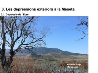 3. Les depressions exteriors a la Meseta
3.1. Depressió de l'Ebre




                                   Mola de Borja
                                   (Zaragoza)
 