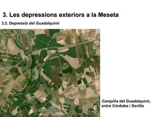 3. Les depressions exteriors a la Meseta
3.2. Depressió del Guadalquivir




                                  Campiña del Guadalquivir,
                                  entre Córdoba i Sevilla
 