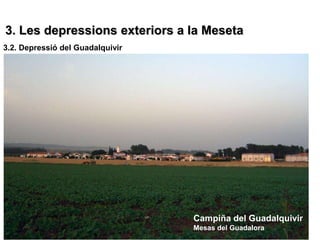 3. Les depressions exteriors a la Meseta
3.2. Depressió del Guadalquivir




                                  Campiña del Guadalquivir
                                  Mesas del Guadalora
 