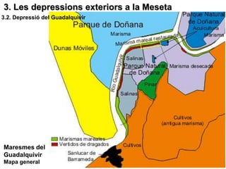 3. Les depressions exteriors a la Meseta
3.2. Depressió del Guadalquivir




Maresmes del
Guadalquivir
Mapa general
 