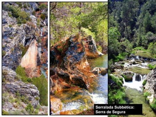 4. Les serralades exteriors a la Meseta
4.4. Serralades Bètiques




                                Serralada Subbètica:
                                Serra de Segura
 