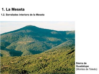 1. La Meseta
1.2. Serralades interiors de la Meseta




                                         Sierra de
                                         Guadalupe
                                         (Montes de Toledo)
 