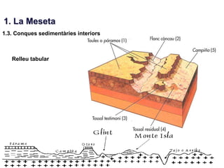 1. La Meseta
1.3. Conques sedimentàries interiors



   Relleu tabular
 