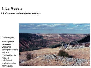 1. La Meseta
1.3. Conques sedimentàries interiors




Guadalajara.
Paisatge de
páramos i
vessants
escarpats sobre
estrats
horitzontals de
roques
calcàries i
sedimentarias
detrítiques.
 