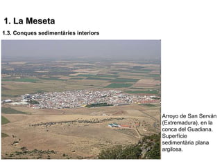 1. La Meseta
1.3. Conques sedimentàries interiors




                                       Arroyo de San Serván
                                       (Extremadura), en la
                                       conca del Guadiana.
                                       Superfície
                                       sedimentària plana
                                       argilosa.
 