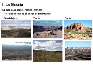 1. La Meseta
1.3. Conques sedimentàries interiors
  Paisatges I relleus conques sedimentàries
  Guadalajara               Teruel            Soria
 