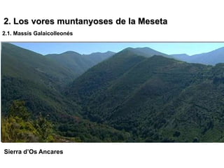 2. Los vores muntanyoses de la Meseta
2.1. Massís Galaicolleonés




Sierra d’Os Ancares
 