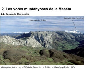 2. Los vores muntanyoses de la Meseta
2.2. Serralada Cantàbrica




Vista panorámica cap el SE de la Sierra de La Sobia i el Massís de Peña Ubiña
 