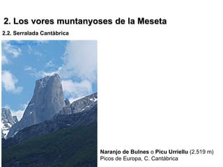 2. Los vores muntanyoses de la Meseta
2.2. Serralada Cantàbrica




                            Naranjo de Bulnes o Picu Urriellu (2.519 m)
                            Picos de Europa, C. Cantábrica
 